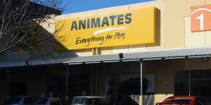 Animates – Tower Junction Review : Everything you need for your pet