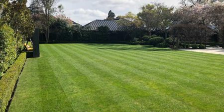 Get pristine lawns with regular lawn maintenance