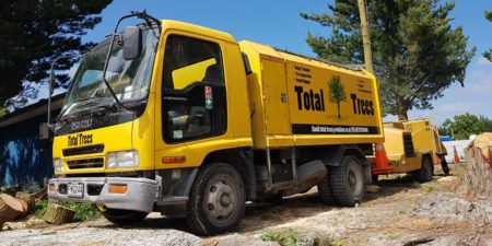 Total Trees Review