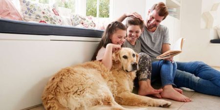 Navigating the Kiwi Dream: A Guide to Applying for a Mortgage in New Zealand